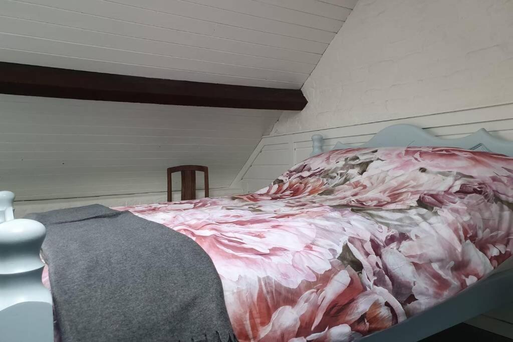 The Tack Room Cottage - Wells House & Gardens Wexford Ngoại thất bức ảnh